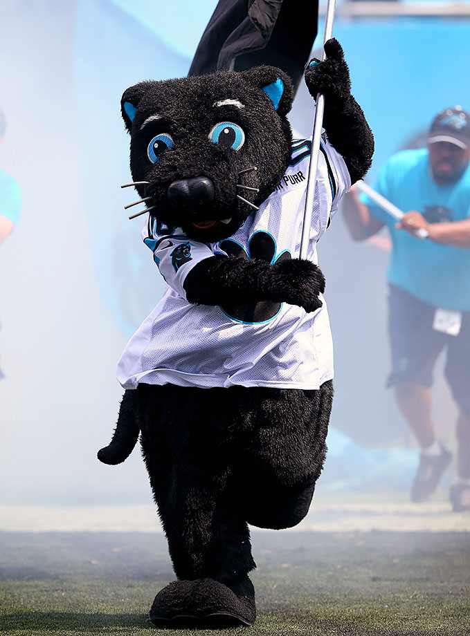 Carolina-Panthers-mascot-Sir-Purr.jpg